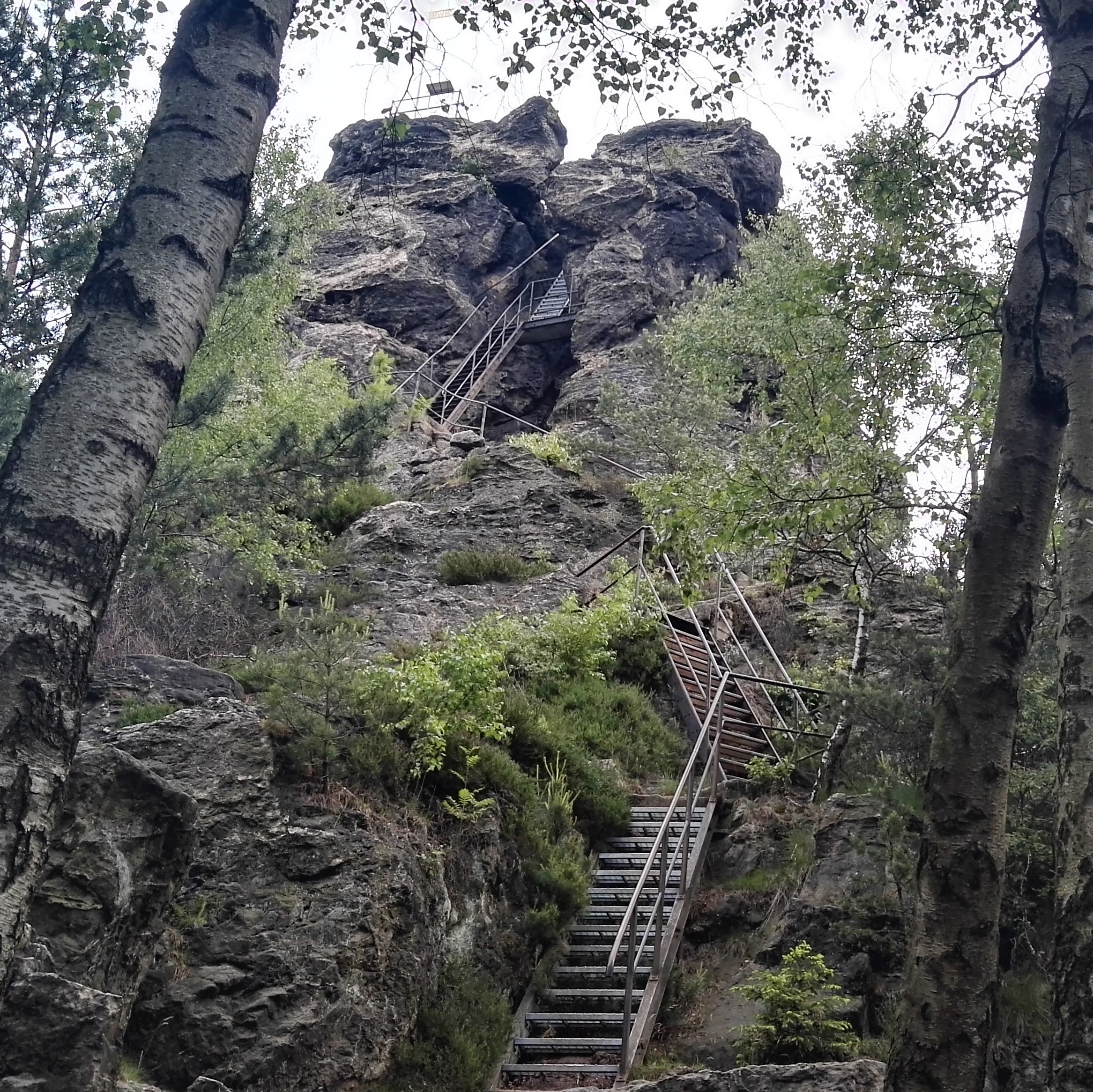 Scharfenstein
